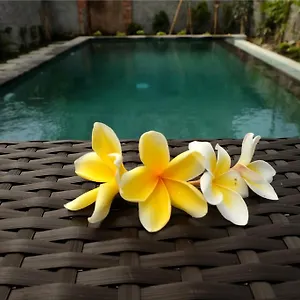 Гостевой дом Eka Bali, Убуд