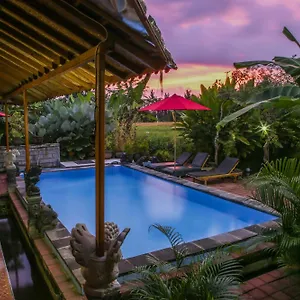  Pensión Soca House